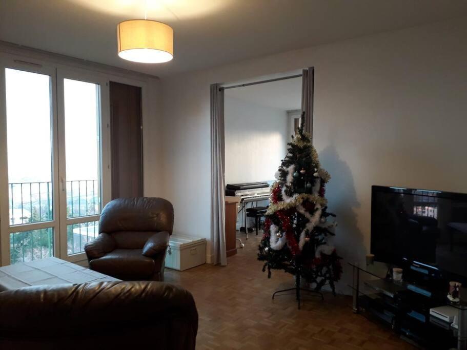 Appartamento T4/5 Avec Vue Sur Les Alpes A 5 Minutes De Lyon La Mulatiere Esterno foto